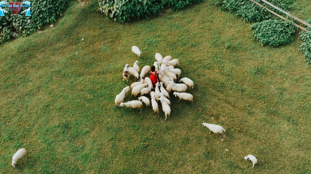 Lưu ý khi sắp xếp hành lý