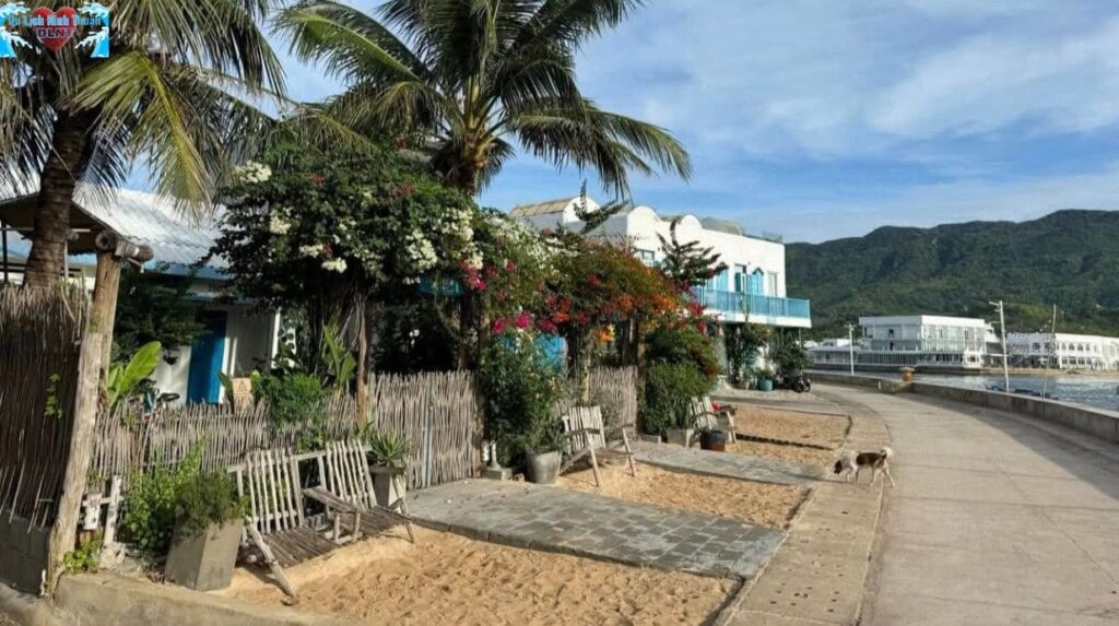 Mẹo hay để tận hưởng Ninh Thuận như dân bản xứ