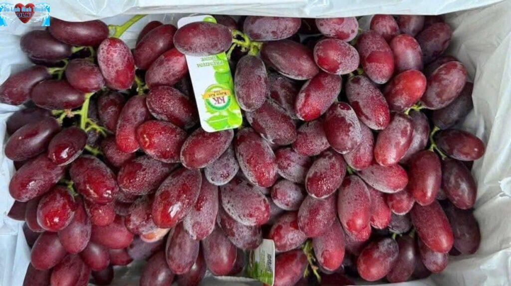 Nho không chỉ ăn – mà còn nâng tầm món ngon miền biển