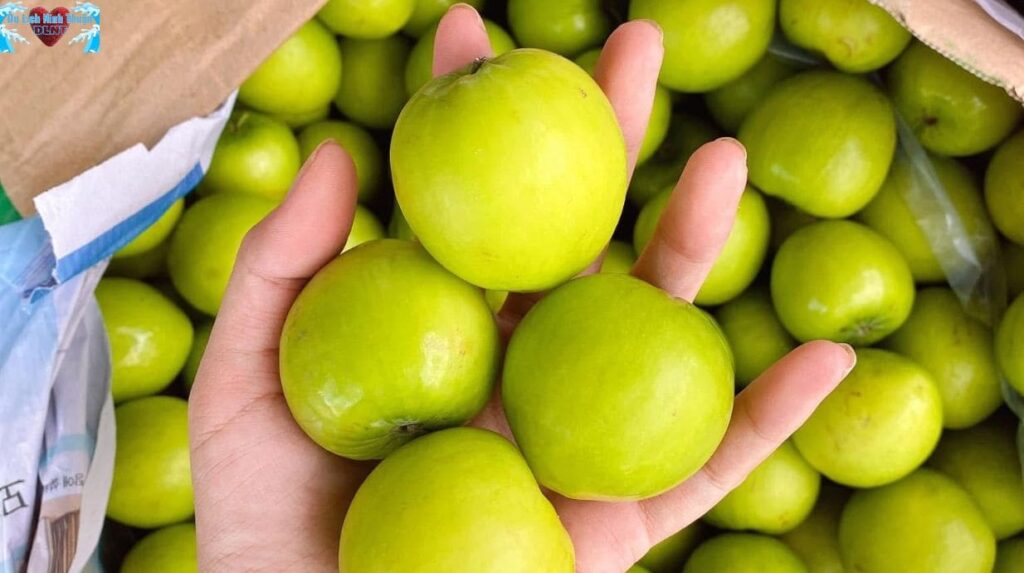 Điều gì làm nên sức hút của táo Ninh Thuận?