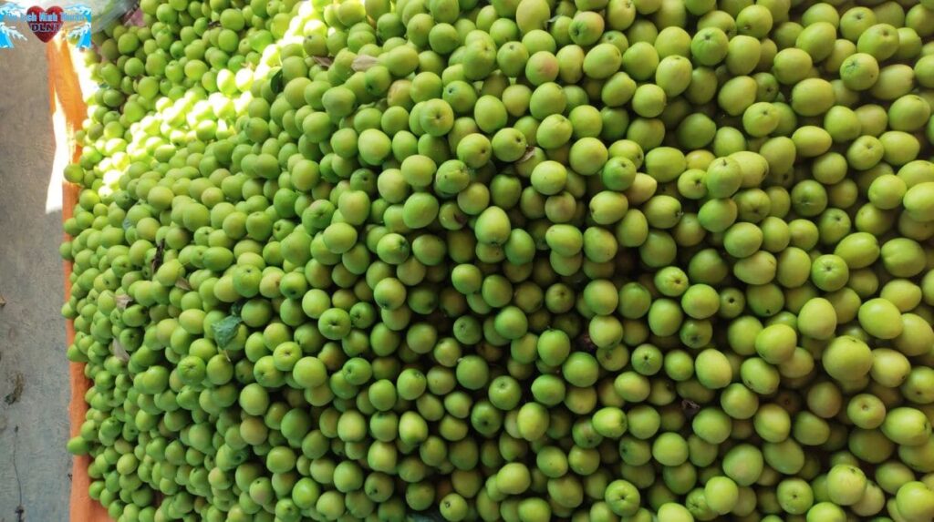 Mẹo nhỏ chọn và bảo quản táo đúng kiểu Ninh Thuận