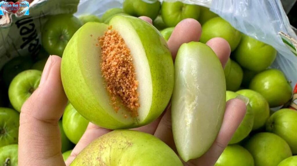 Trải nghiệm hái táo tại những vườn táo Ninh Thuận