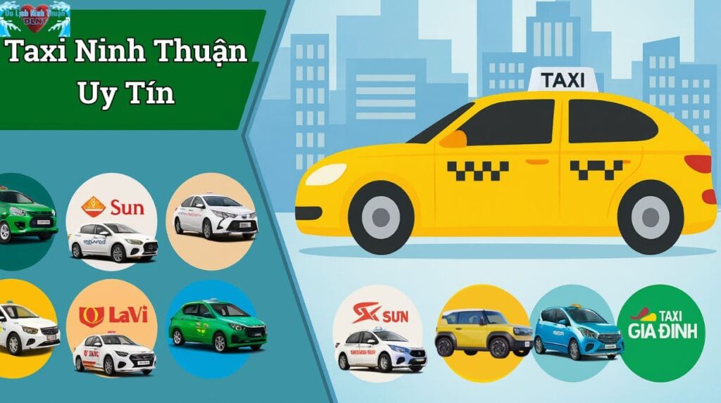 Những hãng taxi Ninh Thuận uy tín – Chọn đúng, đi an tâm