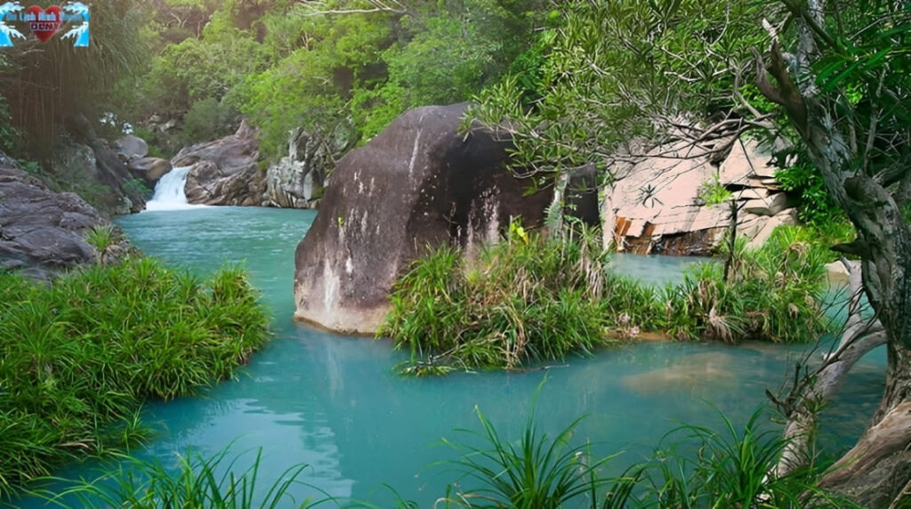 Vườn quốc gia Núi Chúa có gì?