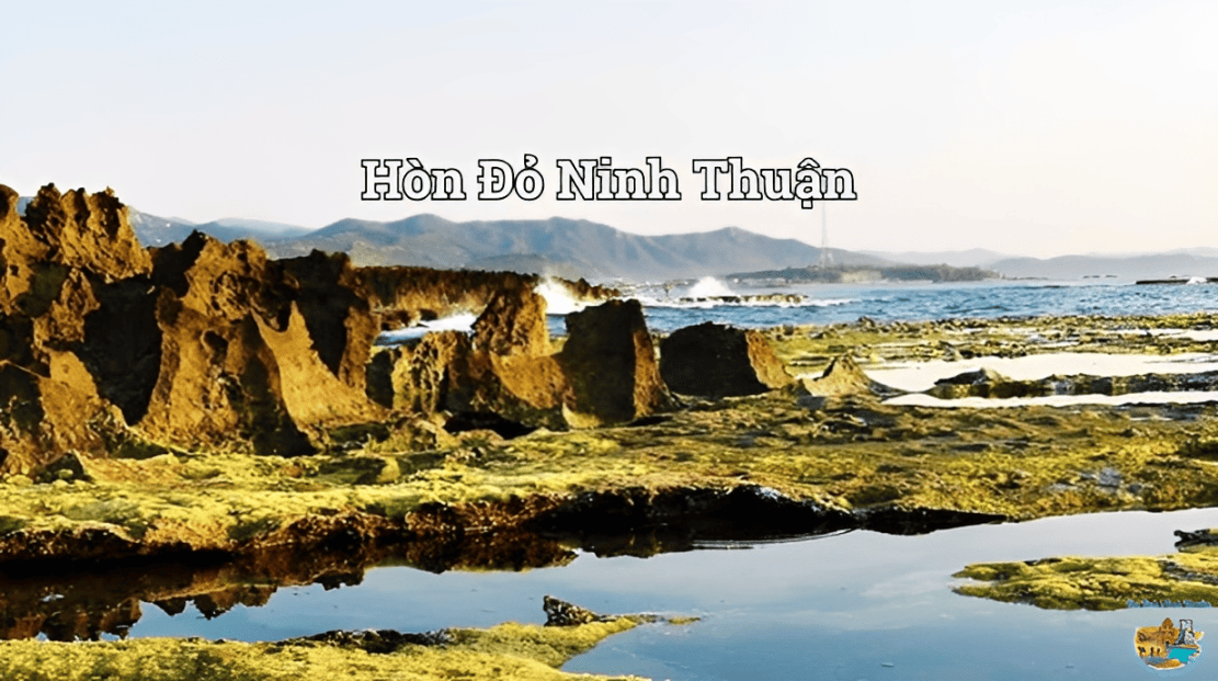 Hòn Đỏ Ninh Thuận – Check-in Rêu Xanh, Săn Bình Minh Đẹp Nhất